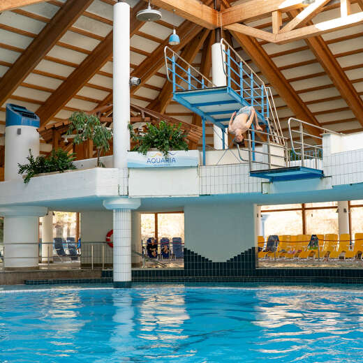 Turmspringen Backflip Aquaria